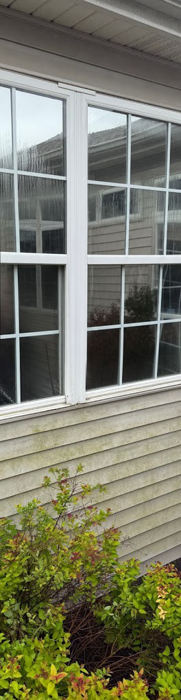 Siding and windows before cleaning
